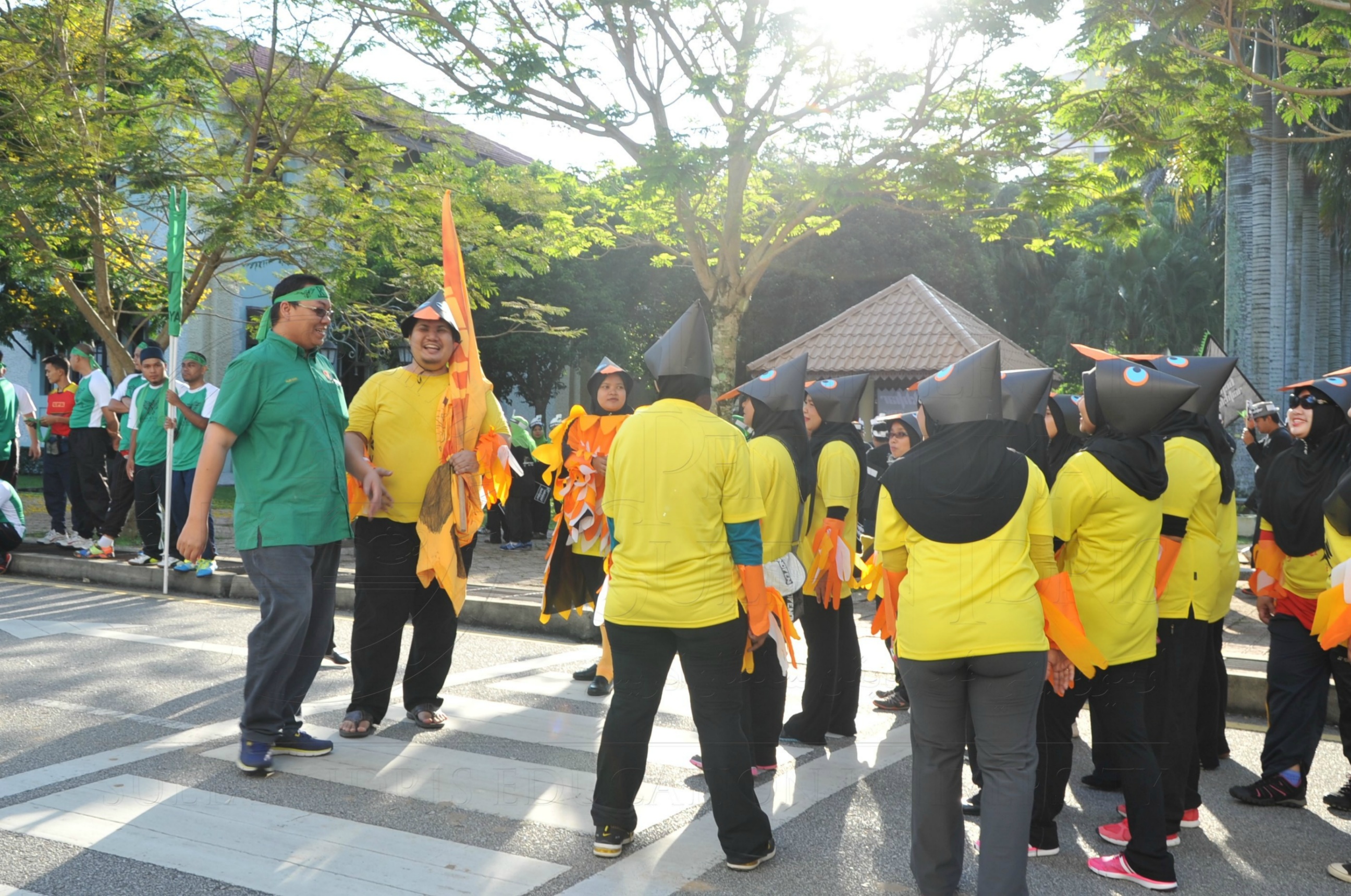 PRO 15 53 KIESTA HAS 3421